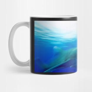 Oceanic White Tip Shark in Motion Mug